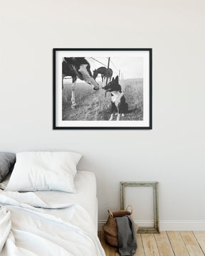 Farm Dog and Horse Print